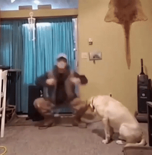 A Man And A Dog Are Squatting Down In A Living Room . GIF