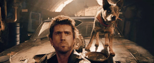 A Man And A Dog Are Standing Next To A Car And The Dog Is Looking At The Camera GIF