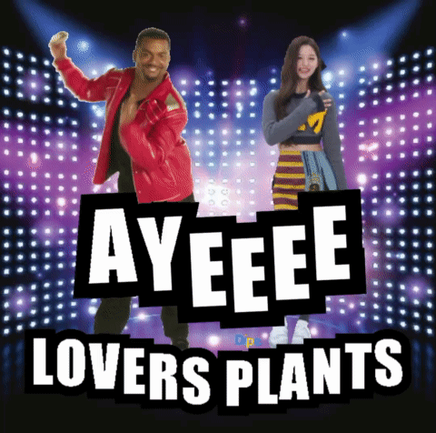 A Man And A Woman Are Dancing On A Stage With The Words Ayeee Lovers Plants Behind Them GIF