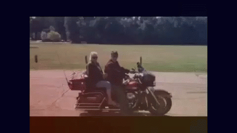 a man and a woman are riding a motorcycle with a dog on the back .