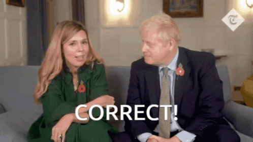 A Man And A Woman Are Sitting On A Couch With Correct Written On The Screen GIF