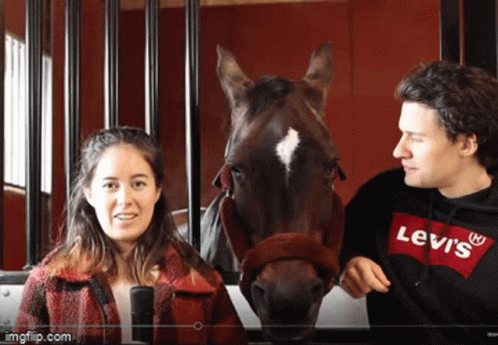 A Man And A Woman Are Standing Next To A Horse And The Man Is Wearing A Levi 'S Shirt GIF