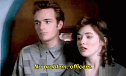 A Man And A Woman Are Standing Next To Each Other And The Woman Is Saying No Problem , Officers . GIF