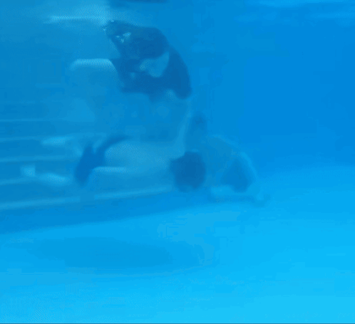 A Man And A Woman Are Underwater In A Pool GIF