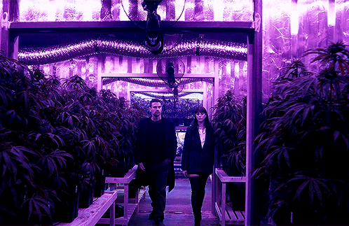 A Man And A Woman Are Walking Through A Purple Room GIF