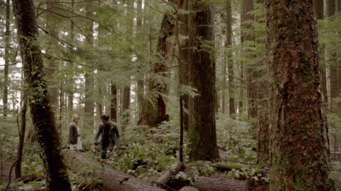 Man And Woman Walking Through Woods GIF