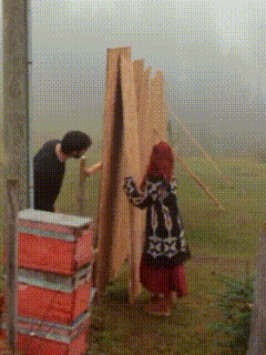 a man and a woman are working on a wooden fence in a field
