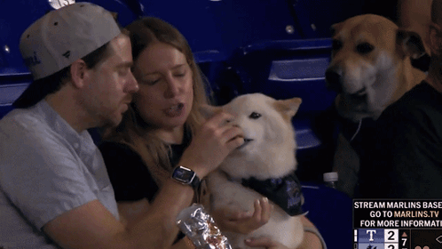 A Man And A Woman Holding A Dog In A Stadium With A Stream Marlins Base Advertisement GIF