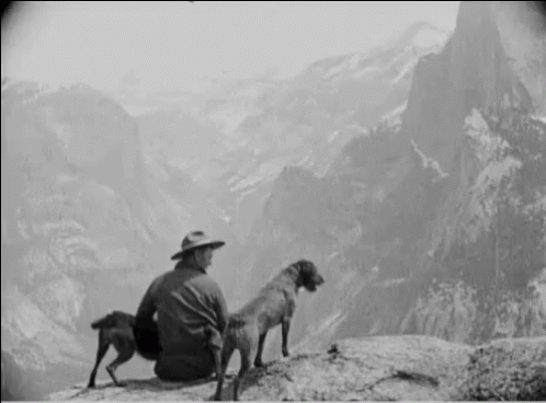 A Man And Two Dogs Are Sitting On Top Of A Rock Looking At A Mountain Range . GIF