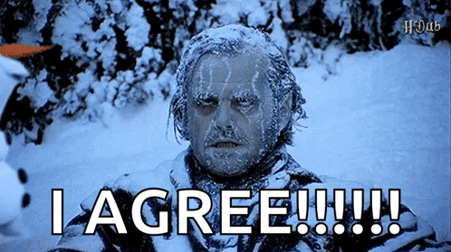A Man Covered In Snow Says I Agree GIF