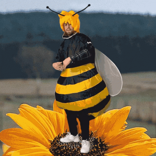A Man Dressed As A Bee Is Standing On A Flower GIF