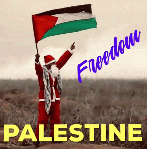 A Man Dressed As Santa Claus Holding A Palestinian Flag GIF
