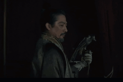 a man holding a bird with the words " what is it you want " above him