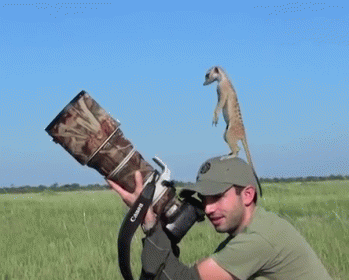 A Man Holding A Camera With A Canon Strap GIF