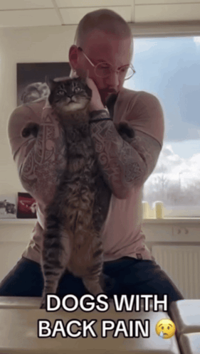 A Man Holding A Cat With The Words Dogs With Back Pain Below It GIF