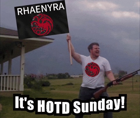 A Man Holding A Flag That Says Rhaenyra GIF