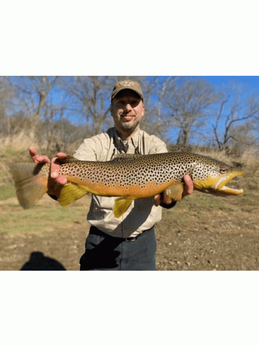 A Man Holding A Large Brown Trout Wearing A Hat That Says Ncd GIF