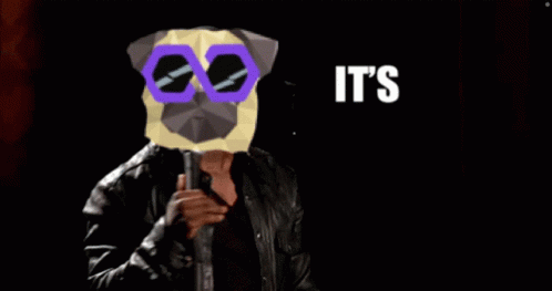 A Man Holding A Microphone With A Pug Mask On His Face And The Words It 'S About To Go Down GIF