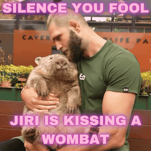 A Man Holding A Wombat With A Caption That Says " Silence You Fool Jiri Is Kissing A Wombat " GIF