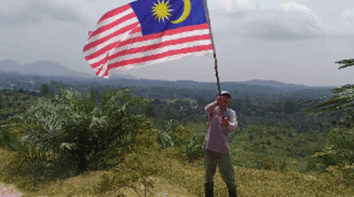 A Man Holds A Flag In Front Of A Lush Green Hillside GIF