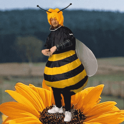A Man In A Bee Costume Is Standing On A Yellow Flower GIF