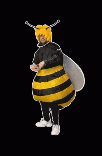 A Man In A Bee Costume With A Yellow Hat On GIF