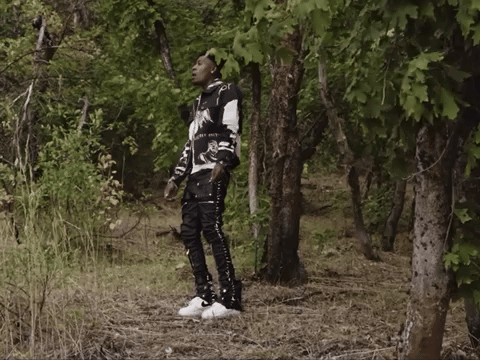 A Man In A Black And White Sweater Stands In A Forest GIF