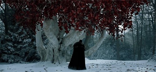 A Man In A Black Cloak Is Standing Under A Tree With Red Leaves GIF