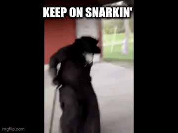 A Man In A Black Coat And Hat Is Walking With A Cane And A Caption That Says `` Keep On Snarkin '' . GIF