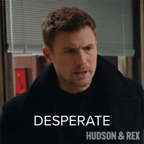 A Man In A Black Coat Is Standing In Front Of A Window With The Words Desperate Hudson & Rex Written On The Bottom . GIF