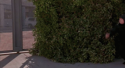 A Man In A Black Hooded Jacket Stands In Front Of A Fence GIF