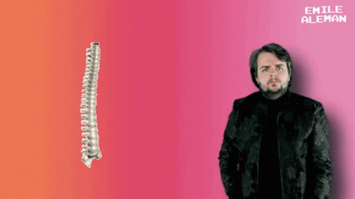 A Man In A Black Jacket Stands In Front Of A Pink Background With Emile Aleman Written On It GIF