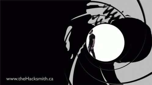 A Man In A Black Shirt Is Standing In The Center Of A Gun Barrel With The Website Www.thehacksmith.ca Below GIF