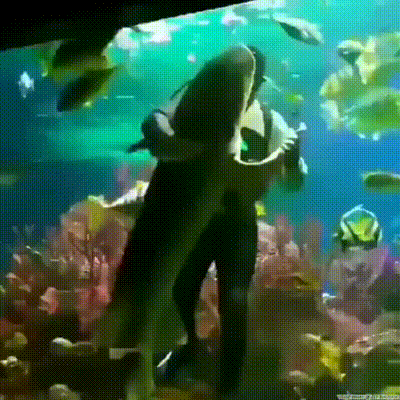 A Man In A Black Suit Is Standing In Front Of A Large Fish Tank GIF