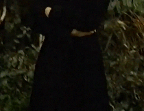 A Man In A Black Sweater Is Standing In Front Of A Bush . GIF