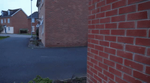 A Man In A Blue Hoodie Is Kneeling Down In Front Of A Brick Building GIF
