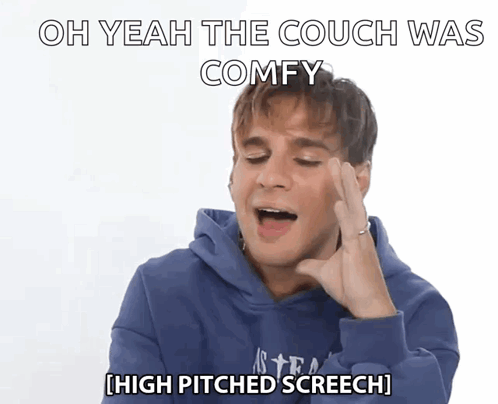 a man in a blue hoodie says " oh yeah the couch was comfy high pitched screech "