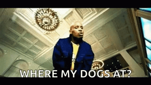 A Man In A Blue Jacket Is Standing In Front Of A Ceiling And Talking About Where His Dogs Are . GIF