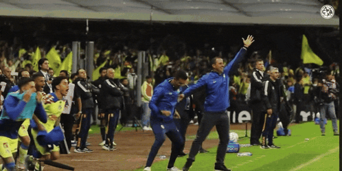 A Man In A Blue Jacket Stands On A Soccer Field In Front Of A Sign That Says ' E ' On It GIF