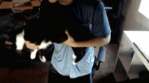 A Man In A Blue Shirt Holds A Black And White Cat GIF