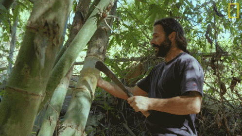 A Man In A Blue Shirt Is Cutting A Tree GIF