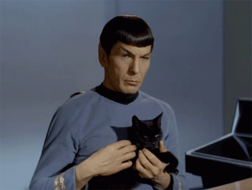 A Man In A Blue Shirt Is Holding A Black Cat In His Hands GIF