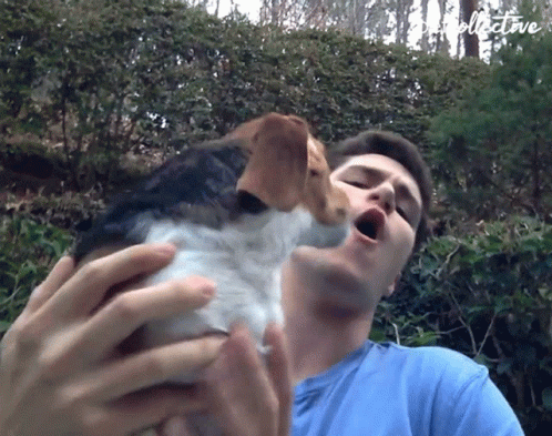 A Man In A Blue Shirt Is Holding A Dog With The Word Collective Written On The Bottom GIF