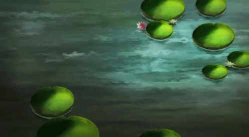 a man in a blue shirt is standing in a body of water surrounded by green lily pads