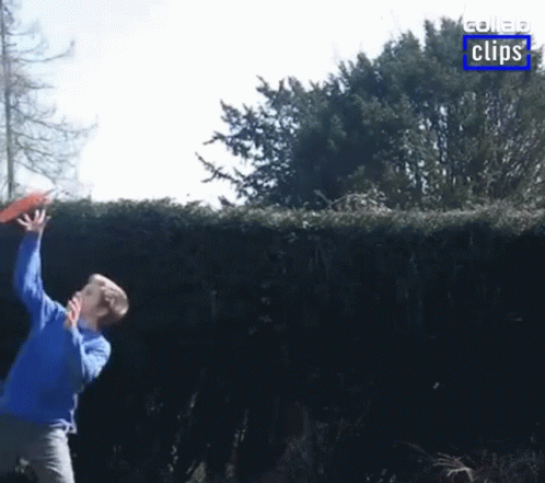 A Man In A Blue Shirt Is Throwing A Frisbee Over A Hedge GIF