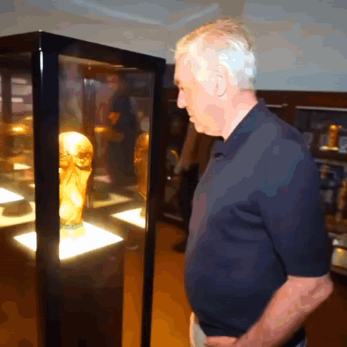 A Man In A Blue Shirt Looks At A Trophy In A Case GIF