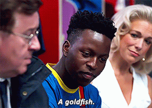 A Man In A Blue Shirt Says " A Goldfish " GIF