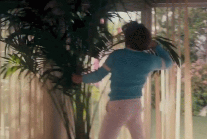 A Man In A Blue Sweater And White Pants Is Standing In Front Of A Window With A Palm Tree In The Background . GIF