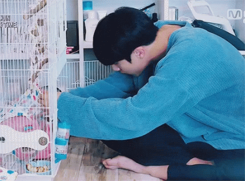 A Man In A Blue Sweater Is Kneeling On The Floor Near A Bird Cage . GIF