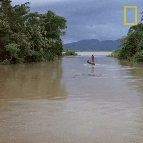 A Man In A Boat In A Flooded Area With A National Geographic Logo In The Background GIF